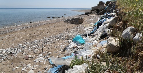 Περιβάλλον: Τα πλαστικά βλάπτουν τη φύση…