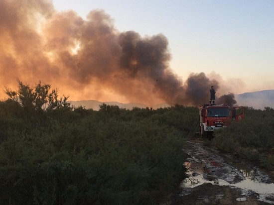 Υπό έλεγχο η πυρκαγιά στη Θράκη, μετά από ολονύκτιες προσπάθειες