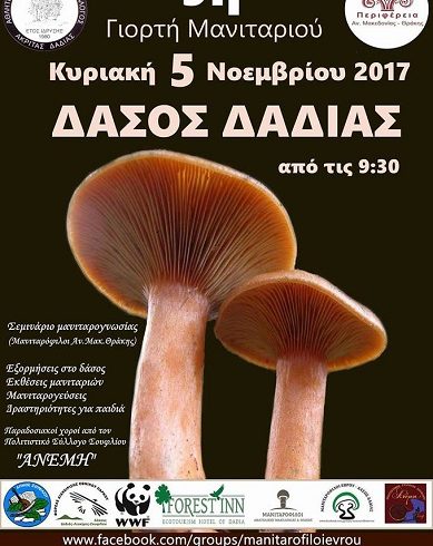 Την Κυριακή 5 Νοεμβρίου η 9η Γιορτή Μανιταριών στο δάσος της Δαδιάς