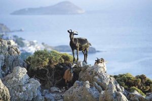 Πριν η Σαμοθράκη καταντήσει μια βραχονησίδα