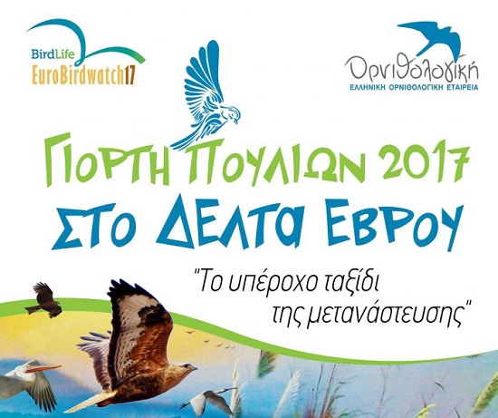 Περιβάλλον: «Πανευρωπαϊκή Γιορτή Πουλιών 2017» στο Δέλτα του Έβρου!