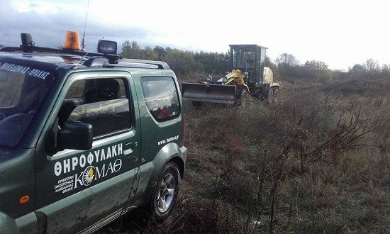 Διάνοιξη μονοπατιών και διάκενων για τον Κολχικό Φασιανό στην Πανεπιστημιούπολη