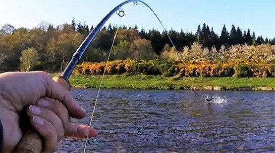 Απαγόρευση αλιείας στους ποταμούς της Ξάνθης