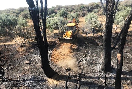 Πολλές οι πυρκαγιές εξαιτίας ανθρώπινης αμέλειας στη Ροδόπη