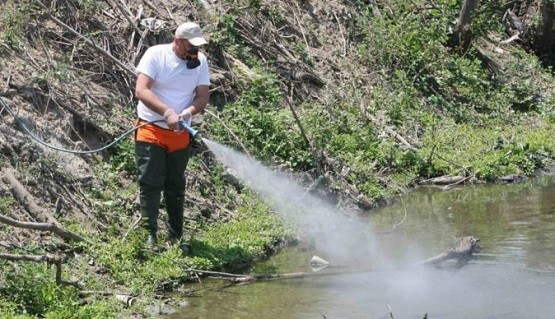 Γέμισε η Ξάνθη με μύγες και μυγαράκια… – Η αύξηση της θερμοκρασίας η κύρια αιτία