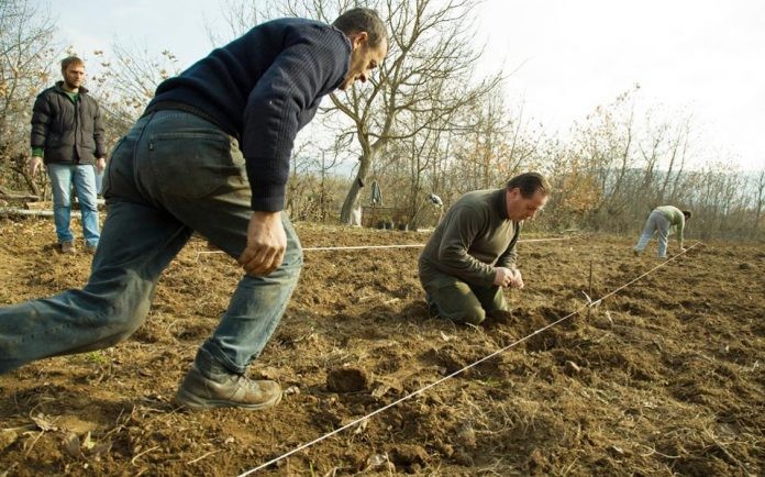 Σε απόγνωση βρίσκονται οι αγρότες στο Ν. Έβρου