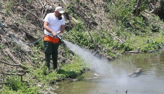 Εντατικοποίηση των δράσεων καταπολέμησης των κουνουπιών στην Περιφέρεια ΑΜΘ μετά τις βροχοπτώσεις