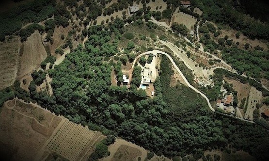 “Στη σέντρα” από το Υπουργείο δύο Δήμοι της Ξάνθης για τους Δασικούς Χάρτες “Στη σέντρα” από το Υπουργείο δύο Δήμοι της Ξάνθης για τους Δασικούς Χάρτες