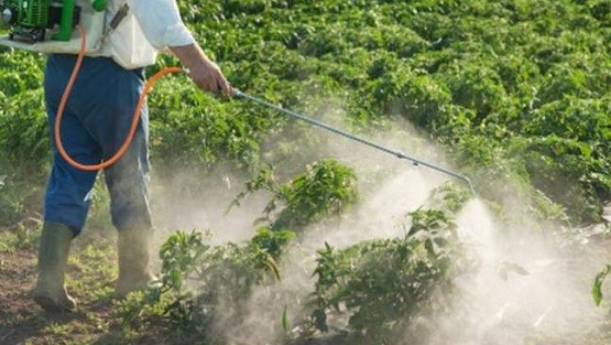 Συνέχεια στους επίγειους ψεκασμούς για την καταπολέμηση των κουνουπιών