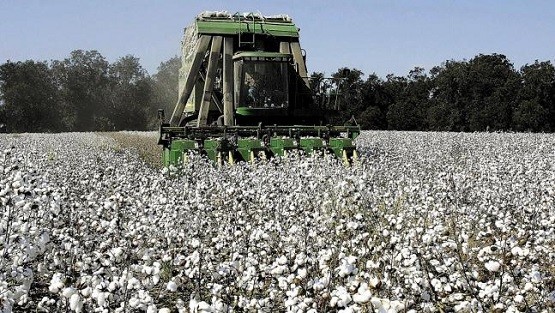 Ελπίδες για ένα καλό τέλος σε μια δύσκολη καλλιεργητική χρονιά