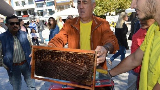 Επίδειξη εξαγωγής μελιού από τον Μελισσοκομικό Σύλλογο Ροδόπης «Το Κεντρί»