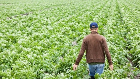 Καταργείται το τέλος επιτηδεύματος για αγροτικούς συνεταιρισμούς και συνεταιρισμένους αγρότες