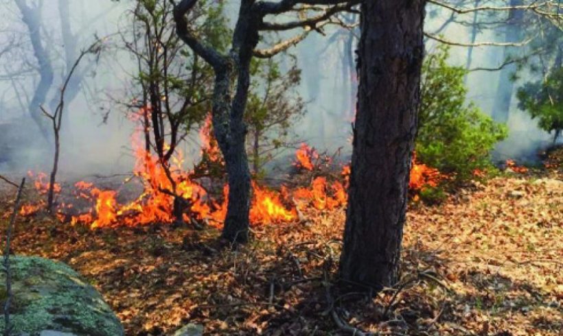 Πολλές πυρκαγιές στον Έβρο ήταν από πτώσεις κεραυνών Πολλές πυρκαγιές στον Έβρο ήταν από πτώσεις κεραυνών
