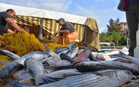 Μεγάλη «ψαριά»… μεγάλη καρδιά για τον Αλιευτικό Συνεταιρισμό Βιστωνίδας