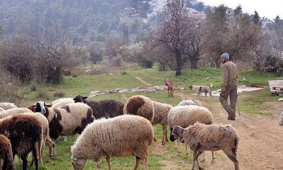 Ν. Δημόπουλος: «Φορολογία, ασφαλιστικό, κόστος παραγωγής και τιμές μας γονατίζουν»