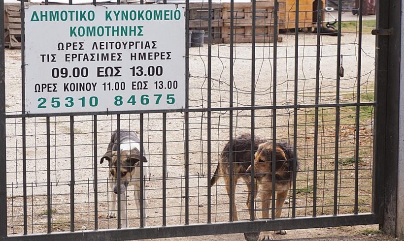 Δωρεά του TAP για τις ανάγκες του Κυνοκομείου Κομοτηνής