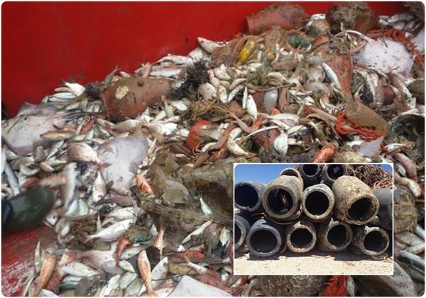 400.000 πλαστικές παγίδες χταποδιών απειλούν το Θρακικό Πέλαγος