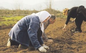 Μόλις… 146 είναι οι δικαιούχοι την Περιφέρεια «ΑΜ-Θ»