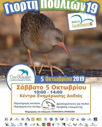 Ευρωπαϊκή Γιορτή πουλιών 2019 στο Εθνικό Πάρκο Δάσους Δαδιάς-Λευκίμης-Σουφλίου