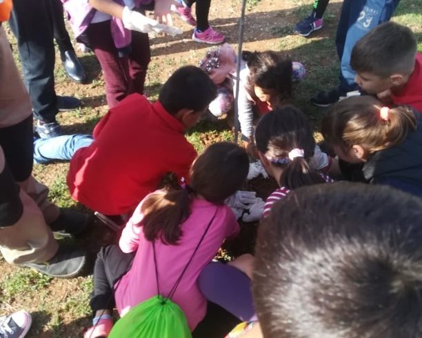 Οι μαθητές του 12ου Δημοτικού σχολείου Αλεξανδρούπολης φύτεψαν δέντρα στο πάρκο Αγγέλου Ποιμενίδη
