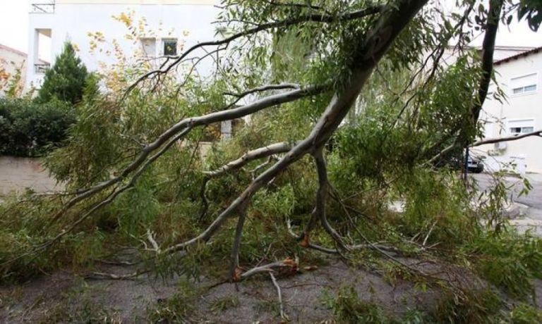 Ο «απολογισμός» της Π.Υ Ξάνθης απο τους ισχυρούς ανέμους