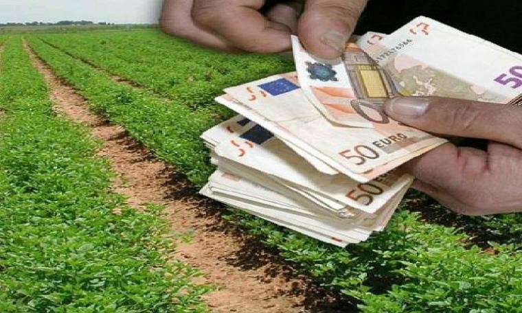 Πρόγραμμα κρατικών οικονομικών ενισχύσεων σε αγρότες -Ποιοι παίρνουν χρήματα