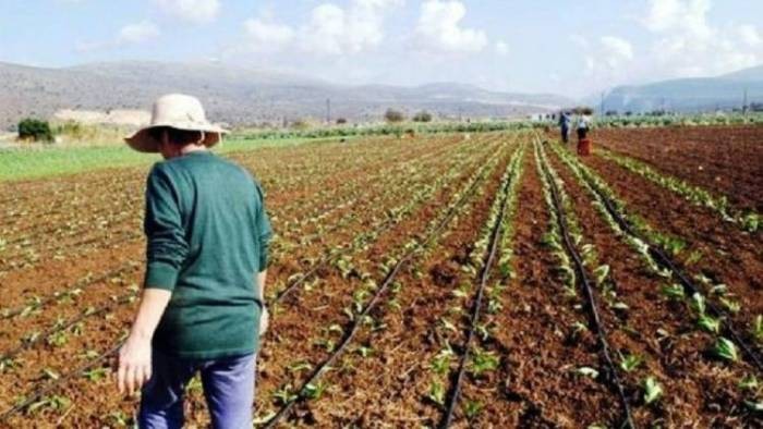 Xρηματικά βοηθήματα για τρίτεκνες-πολύτεκνες αγρότισσες