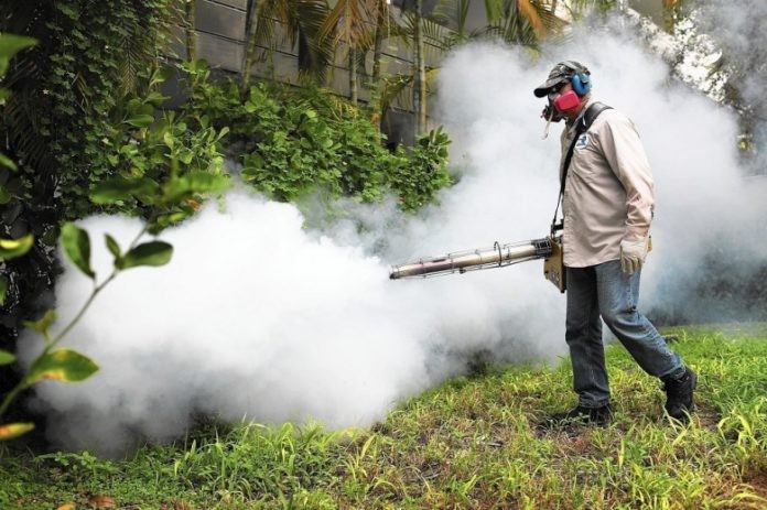«Αντεπίθεση» στα… κουνούπια από Περιφέρεια ΑΜ-Θ, από δήμους και πολίτες