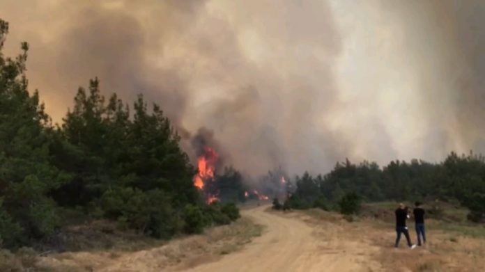 Πολύ υψηλός κίνδυνος εκδήλωσης πυρκαγιάς στην Π. Ε. Έβρου για τις 14 Σεπτεμβρίου