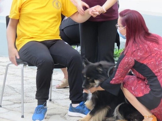 Θεραπευτικοί σκύλοι στο πλευρό ατόμων με ειδικές ανάγκες στο Σουφλί