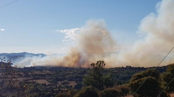 Μαίνεται η φωτιά στον Έβρο: Στο δάσος της Δαδιάς οι φλόγες