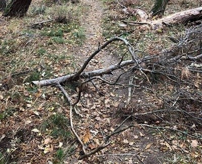 Aσυνείδητοι τοποθετούν “παγίδες” για ποδηλάτες στα μονοπάτια του Περιαστικού στην Ξάνθη