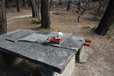 Τα μελανά σημεία του κωδικού 6 στο Δάσος της Νυμφαίας