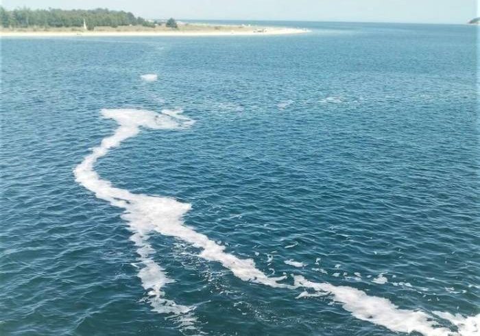 Μικρές ποσότητες βλέννας εμφανίστηκαν σε ακτές της Θράκης Μικρές ποσότητες βλέννας εμφανίστηκαν σε ακτές της Θράκης