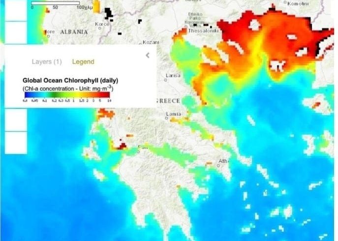 ΓΕΩΤΕΕ Θράκης: Αυτή είναι η εξήγηση για την «πρασινίλα» στις παραλίες μας