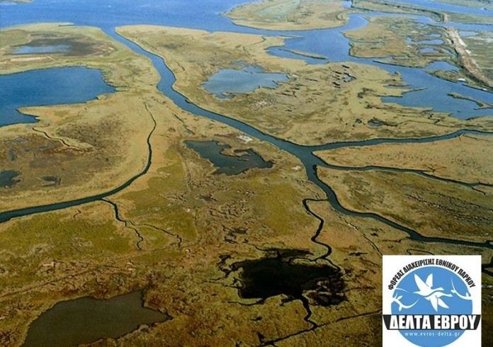 Με έργο 100.000 ευρώ βελτιώνονται τα βοσκοτόπια στο Δέλτα του Έβρου Με έργο 100.000 ευρώ βελτιώνονται τα βοσκοτόπια στο Δέλτα του Έβρου