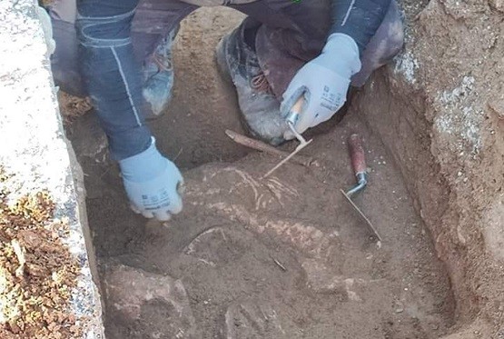 Λείψανα στο «φως» από τις εργασίες φυσικού αερίου Λείψανα στο «φως» από τις εργασίες φυσικού αερίου