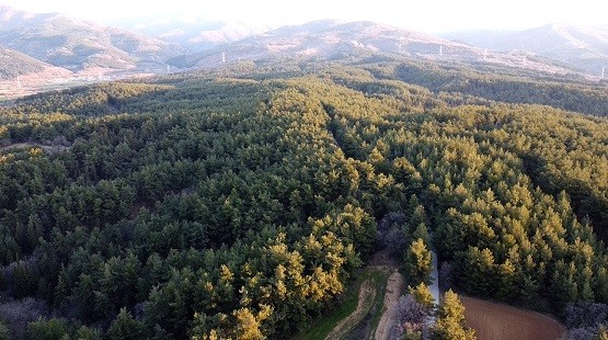 Οικοτουρισμός: Οι προοπτικές ανάπτυξης στα ελληνικά δάση Οικοτουρισμός: Οι προοπτικές ανάπτυξης στα ελληνικά δάση