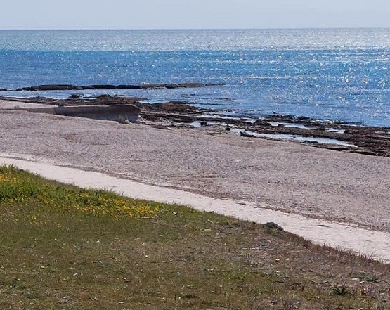 Η άμπωτη κατέβασε τη στάθμη στις παραλίες της Ροδόπης Η άμπωτη κατέβασε τη στάθμη στις παραλίες της Ροδόπης