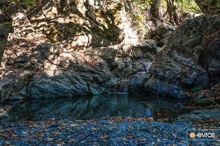 Επιστήμονες τεκμηρίωσαν έναν “θησαυρό” που βρίσκεται στη Β-ΒΑ Σαμοθράκη