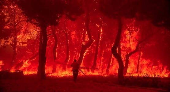 Βίντεο από τη Δαδιά: Στάχτες και αποκαΐδια ο παράδεισος όπου ζούσαν τα αρπακτικά πουλιά