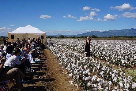 Από τον σπόρο βαμβακιού… στο ρούχο, η Κομοτηνή πρωτοπορεί παγκοσμίως