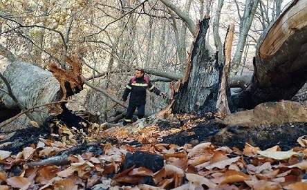 Κ. Κούκουρας για πυρκαγιά Παπικίο «Έρπουσα η φωτιά, δεν έκανε ζημιά στο δάσος»