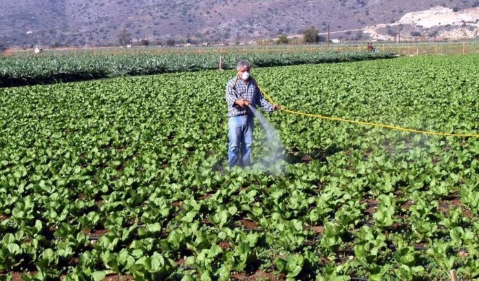 Συμβολαιακή γεωργία: Από Δεκέμβρη η εφαρμογή της ΑΑΔΕ για μείωση 50% στον φόρο εισοδήματος￼