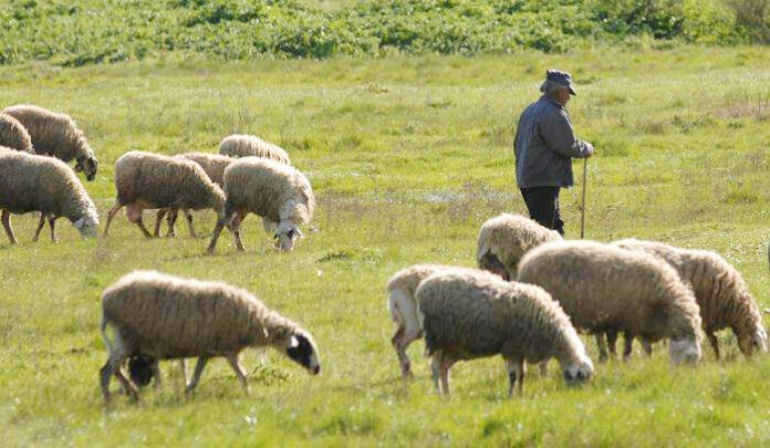 Αγρότες και κτηνοτρόφοι στην Ξάνθη: Αυτά είναι τα τρία βασικά θέματα που απασχολούν τους κλάδους μας