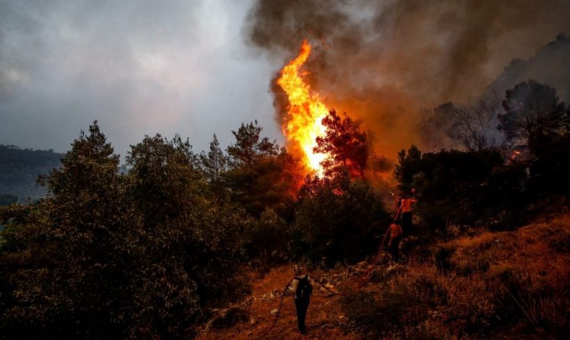 Επιστροφή στα δασαρχεία για να σωθούν τα δάση Επιστροφή στα δασαρχεία για να σωθούν τα δάση