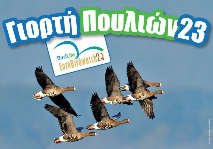 Ευρωπαϊκή Γιορτή των Πουλιών 2023 Ευρωπαϊκή Γιορτή των Πουλιών 2023