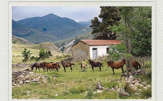 Το κρυφό σχολείο στην Ίμβρο