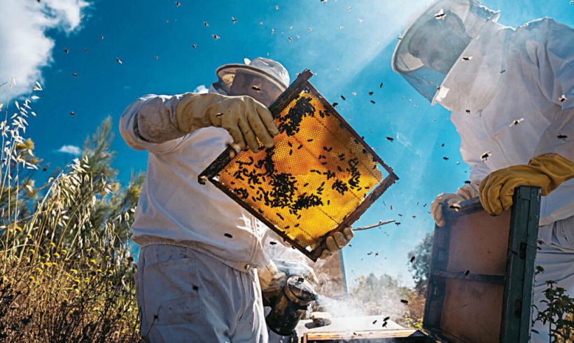 Οι μελισσοκόμοι της Ξάνθης οργανώνονται