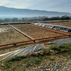 Καθαρό νερό από τεχνητούς υγρότοπους